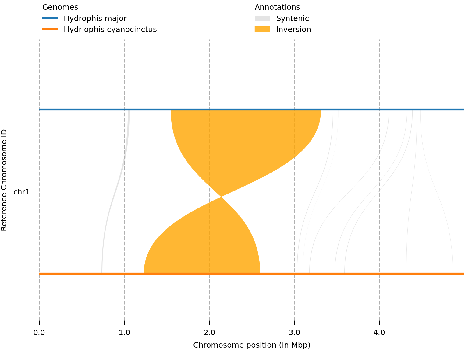 Basic synteny plot generated from Syri and Plotsr.