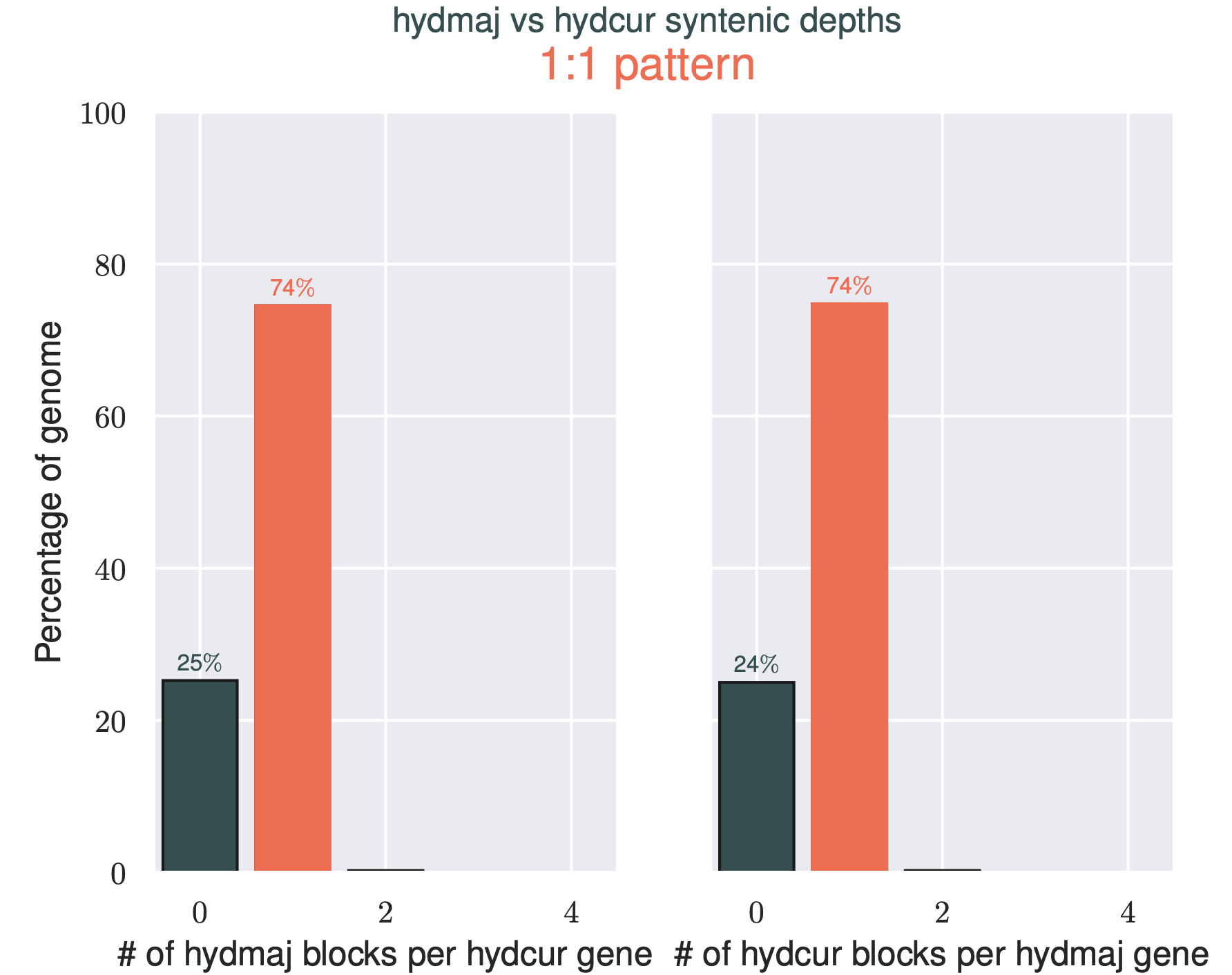 Histogram showing ortholog counts