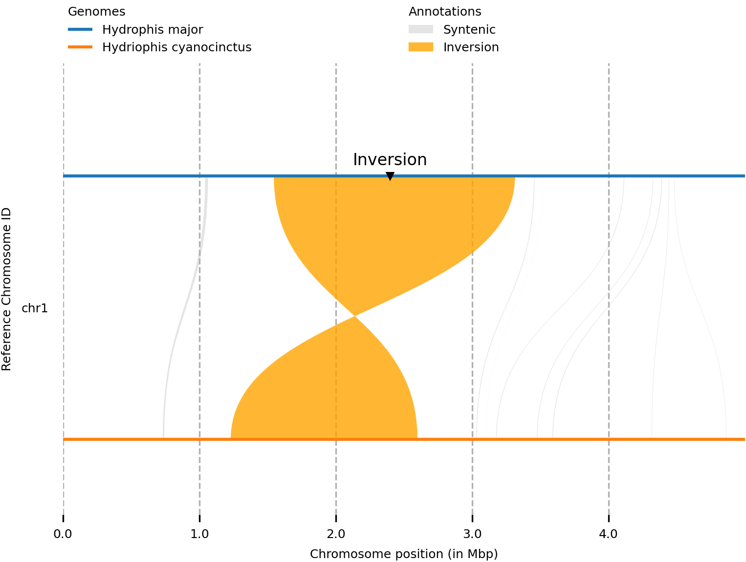 Marker synteny plot generated from Syri and Plotsr