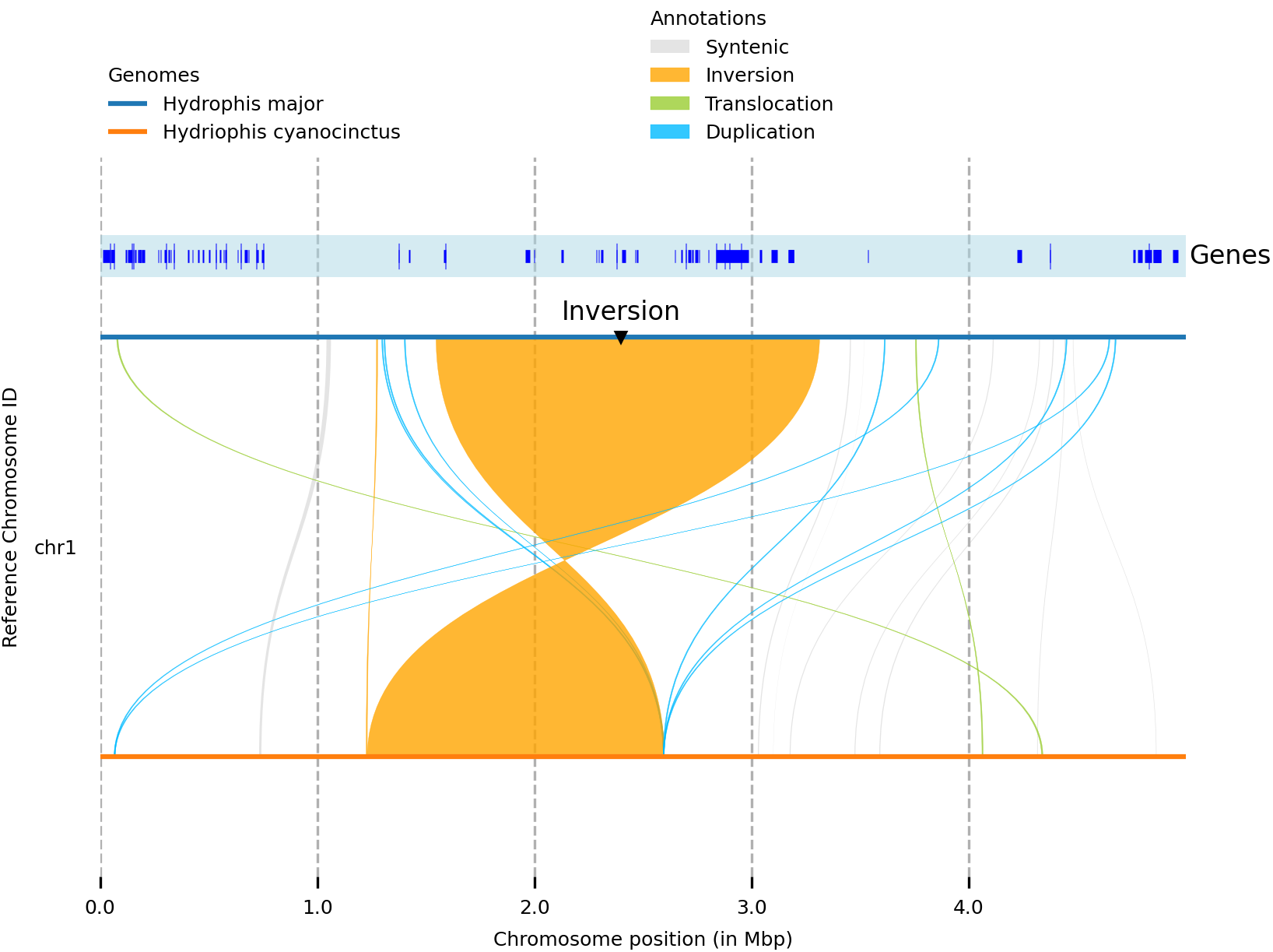 Track synteny plot generated from Syri and plotsr.